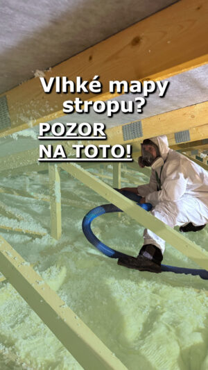 Vlhké mapy stropu